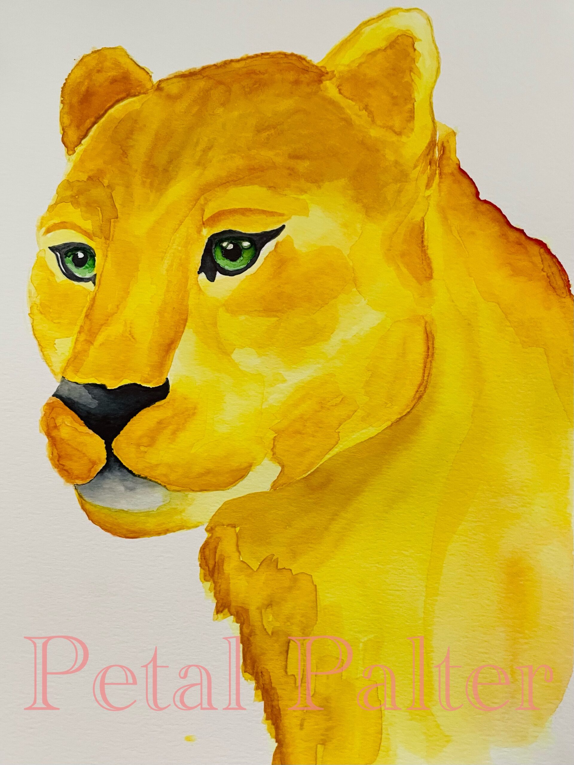 Portrait of a lioness.