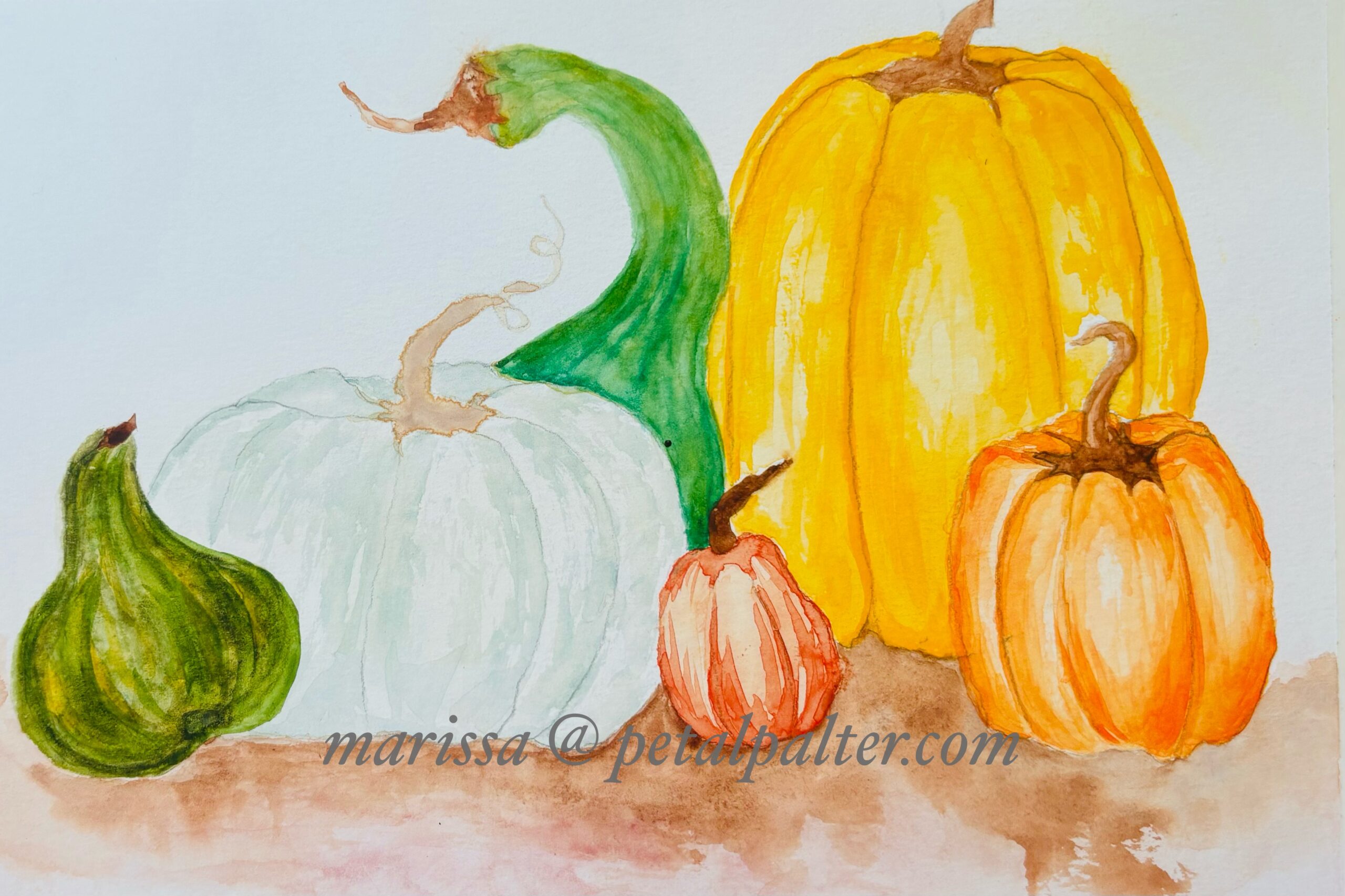 Pumpkins and gourds in varying shades of green and orange in varying sizes and colors.