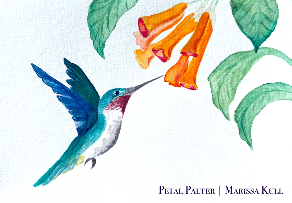 Ruby-throated hummingbird feeding from orange trumpet flowers surrounded by green leaves.