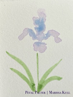 Loose iris in purple and blue with green stem and leaves.