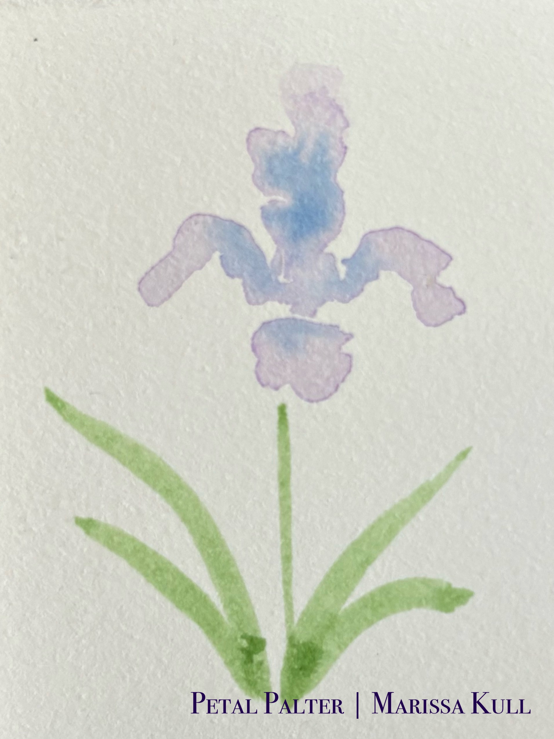 Loose iris in blues and purples with green stem and leaves.