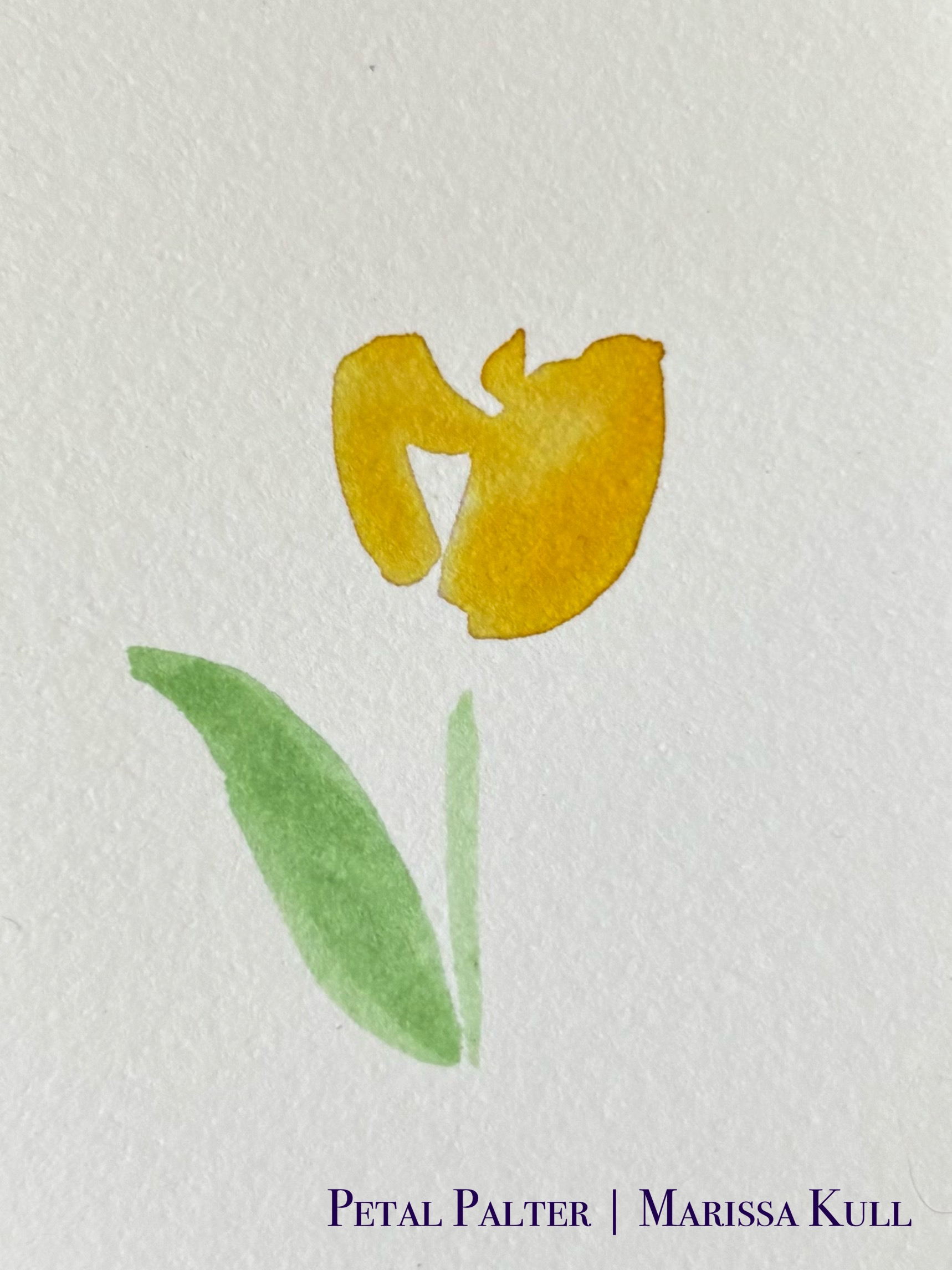 loose yellow tulip with green stem and leaf.