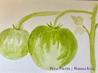 green tomatoes