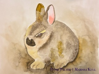Angry bunny.