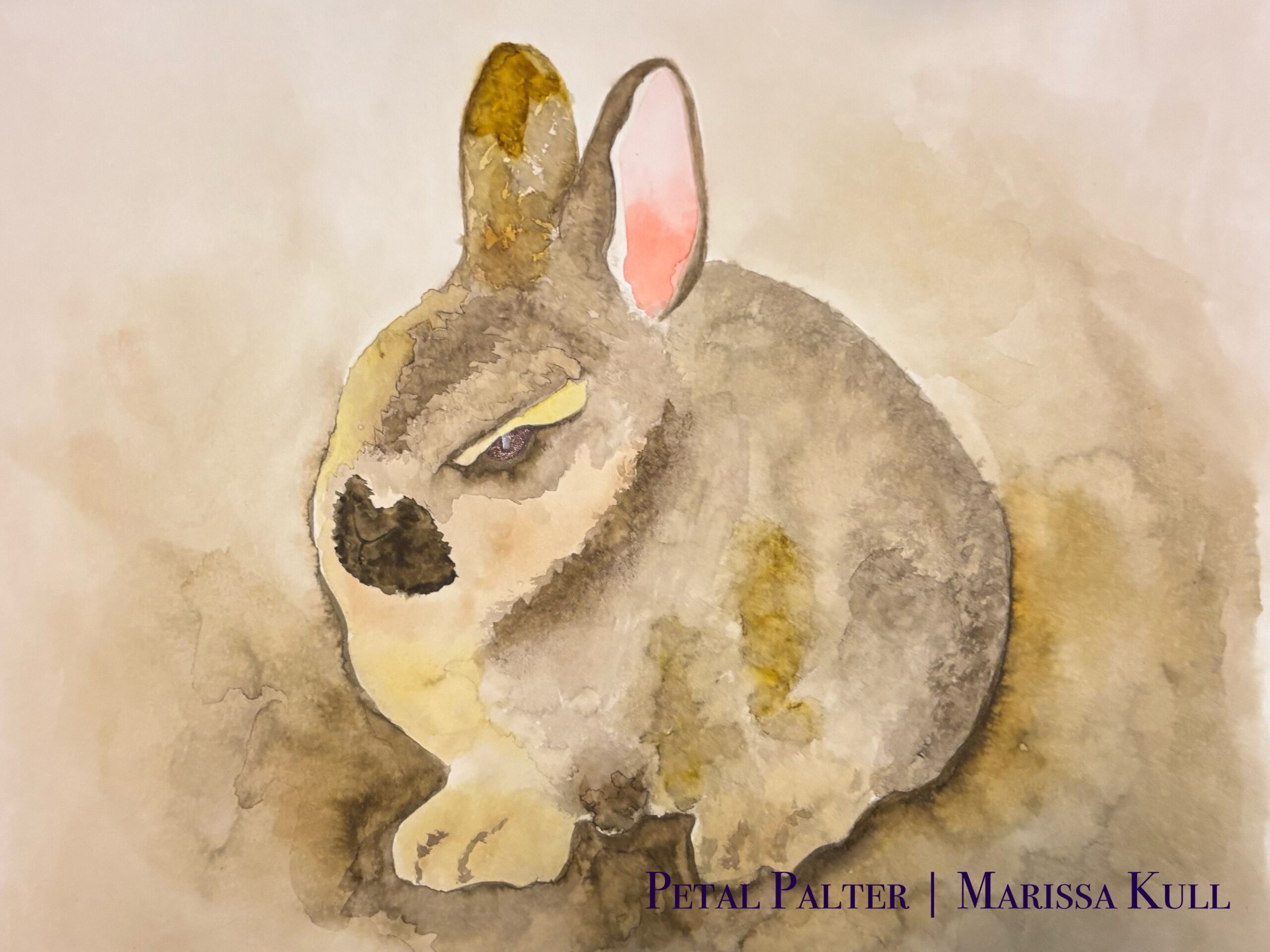 Angry brown bunny over a brown background.