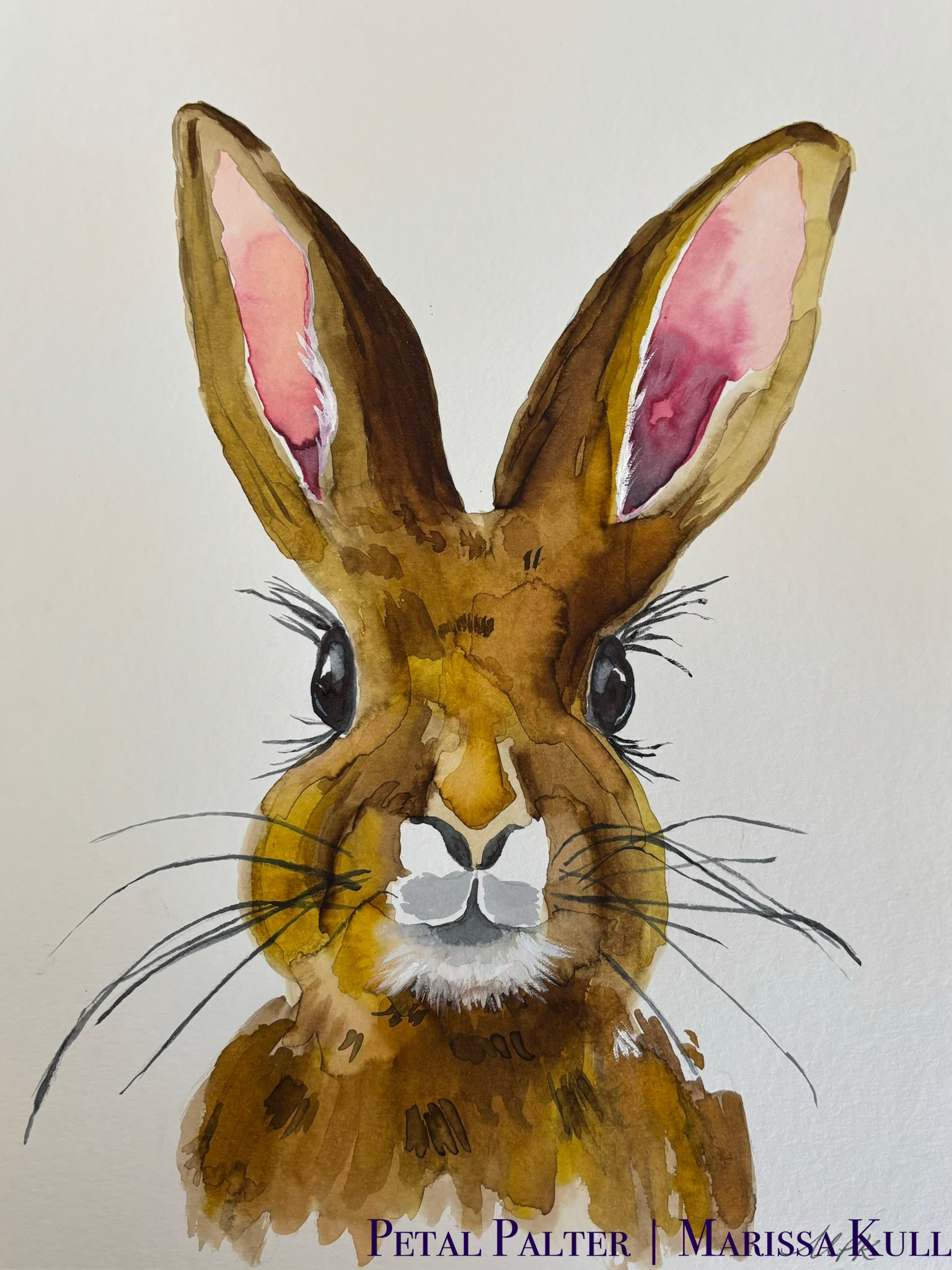 Portrait of a brown hare.