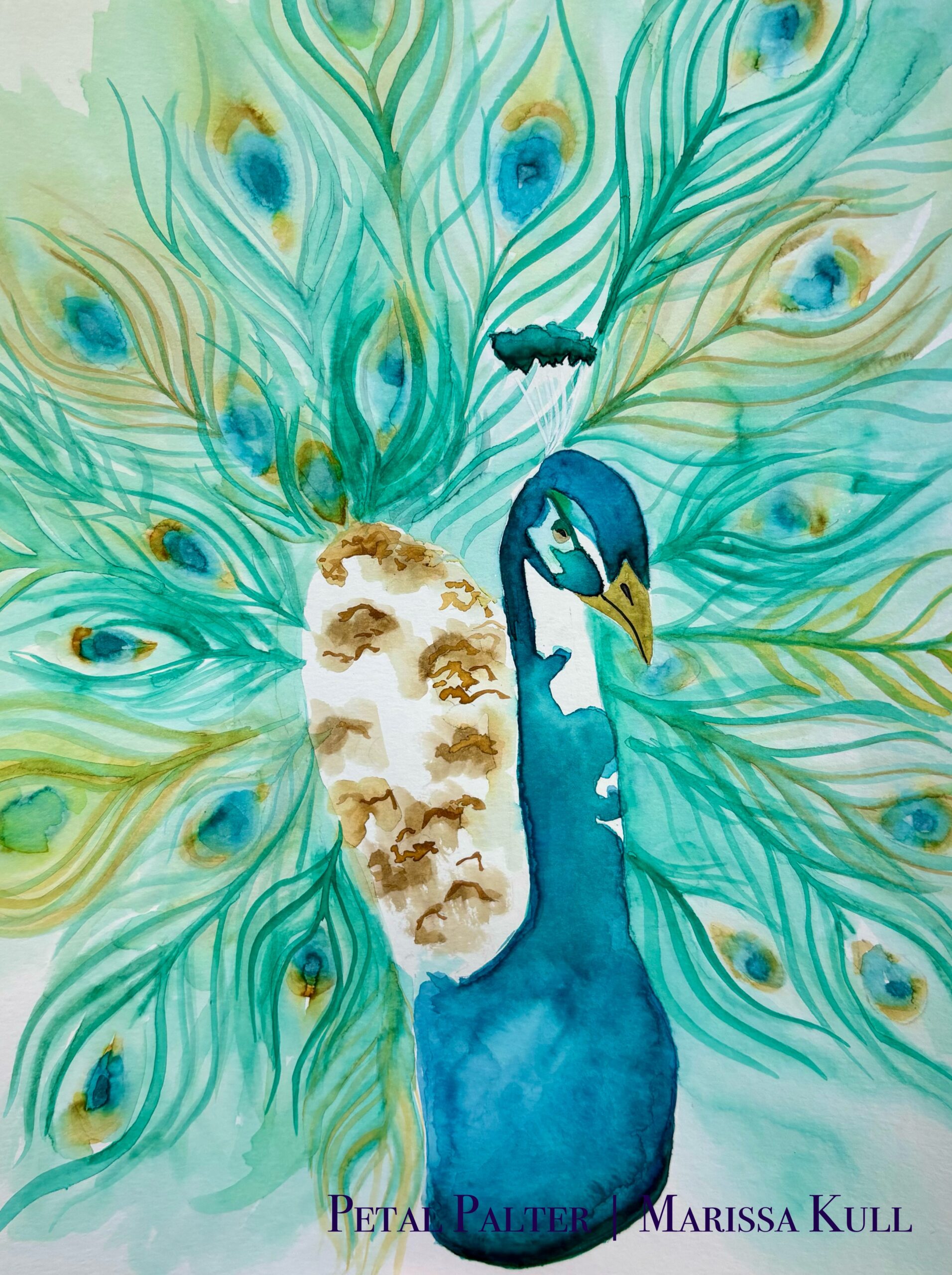 Loose peacock