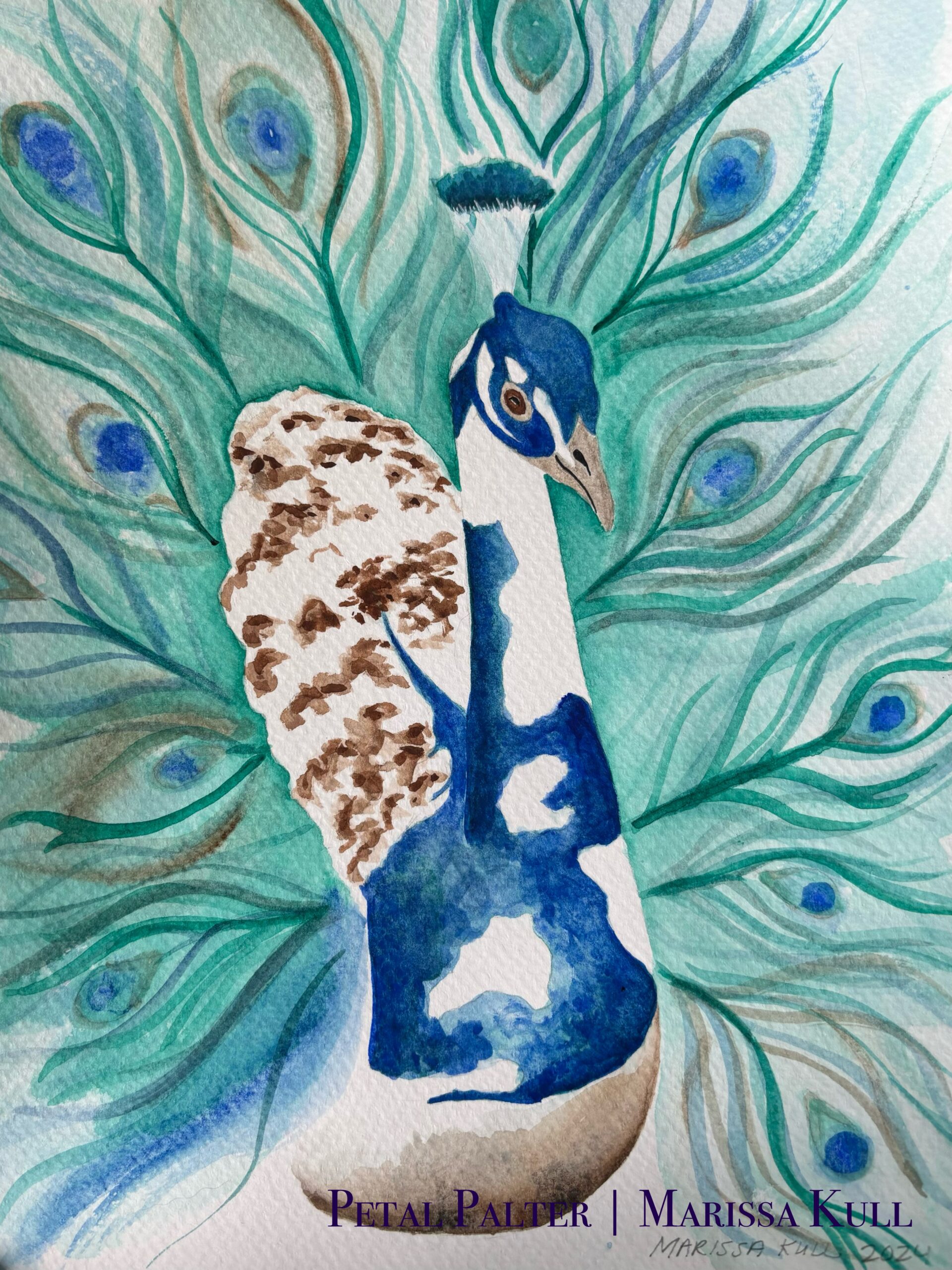 Peacock portrait in white, brown, and dark blue.