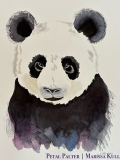 Panda portrait.