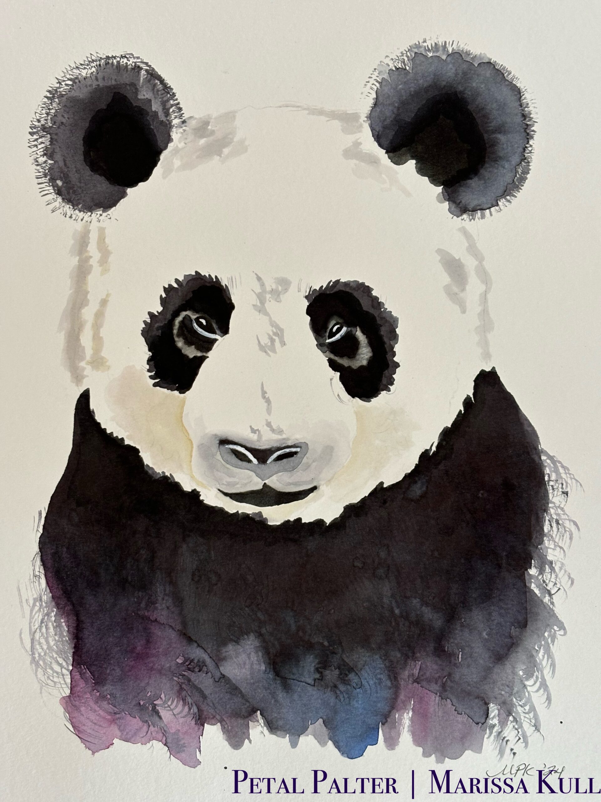 Panda portrait.
