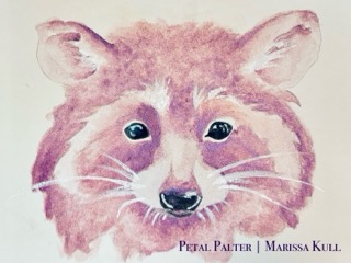 Raccoon Portrait