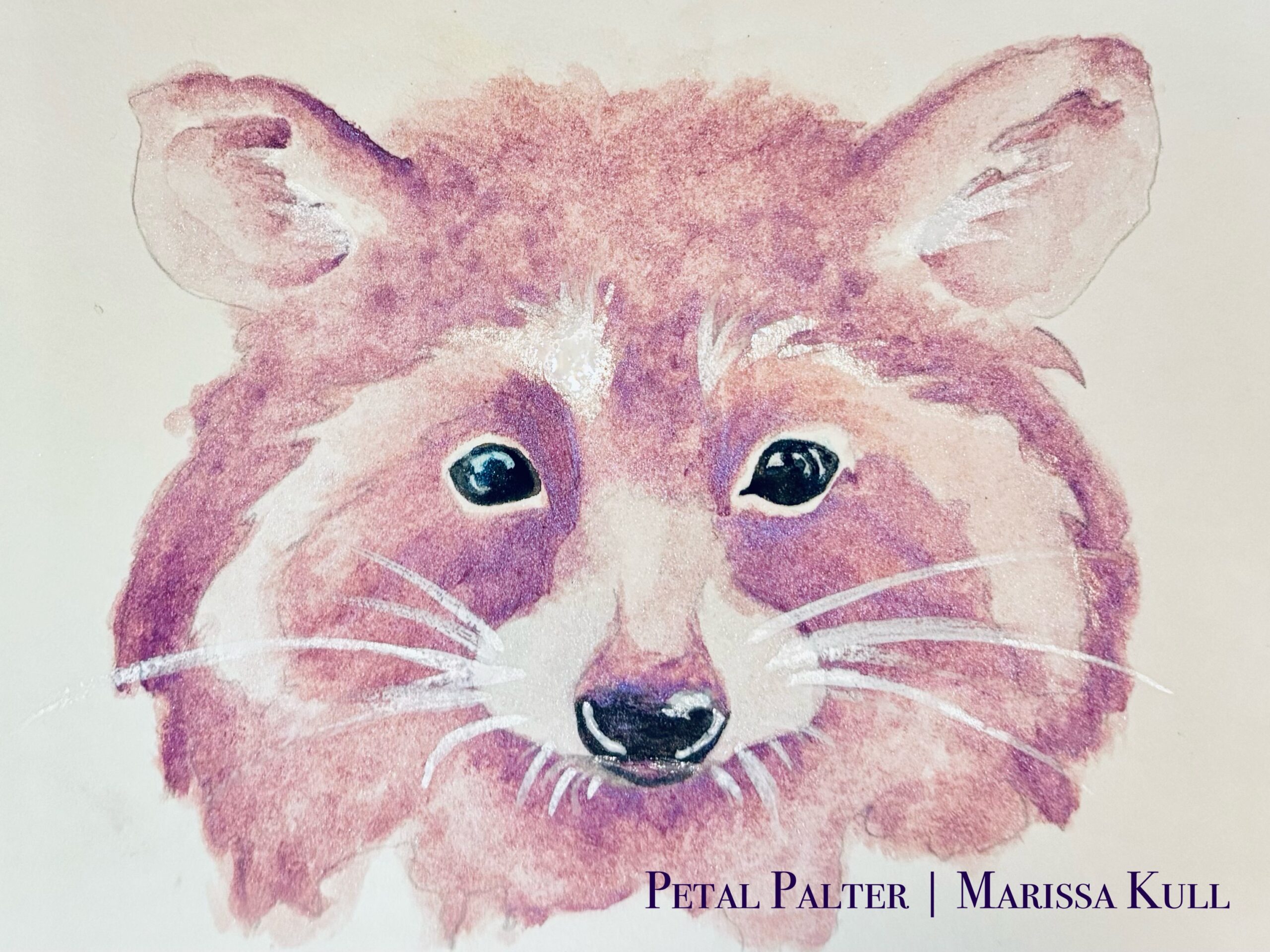 Raccoon Portrait