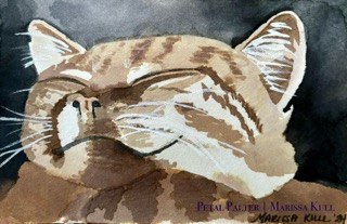 Portrait of a smiling sleepy kitty.