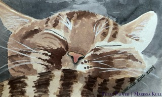 Sleeping tabby cat.