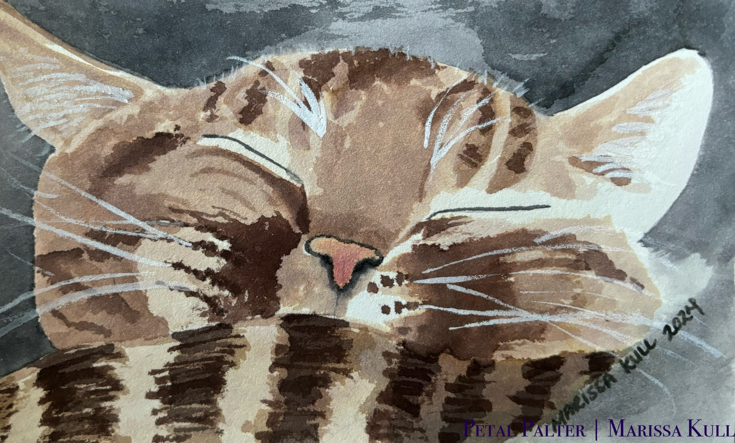 Sleepy tabby cat.