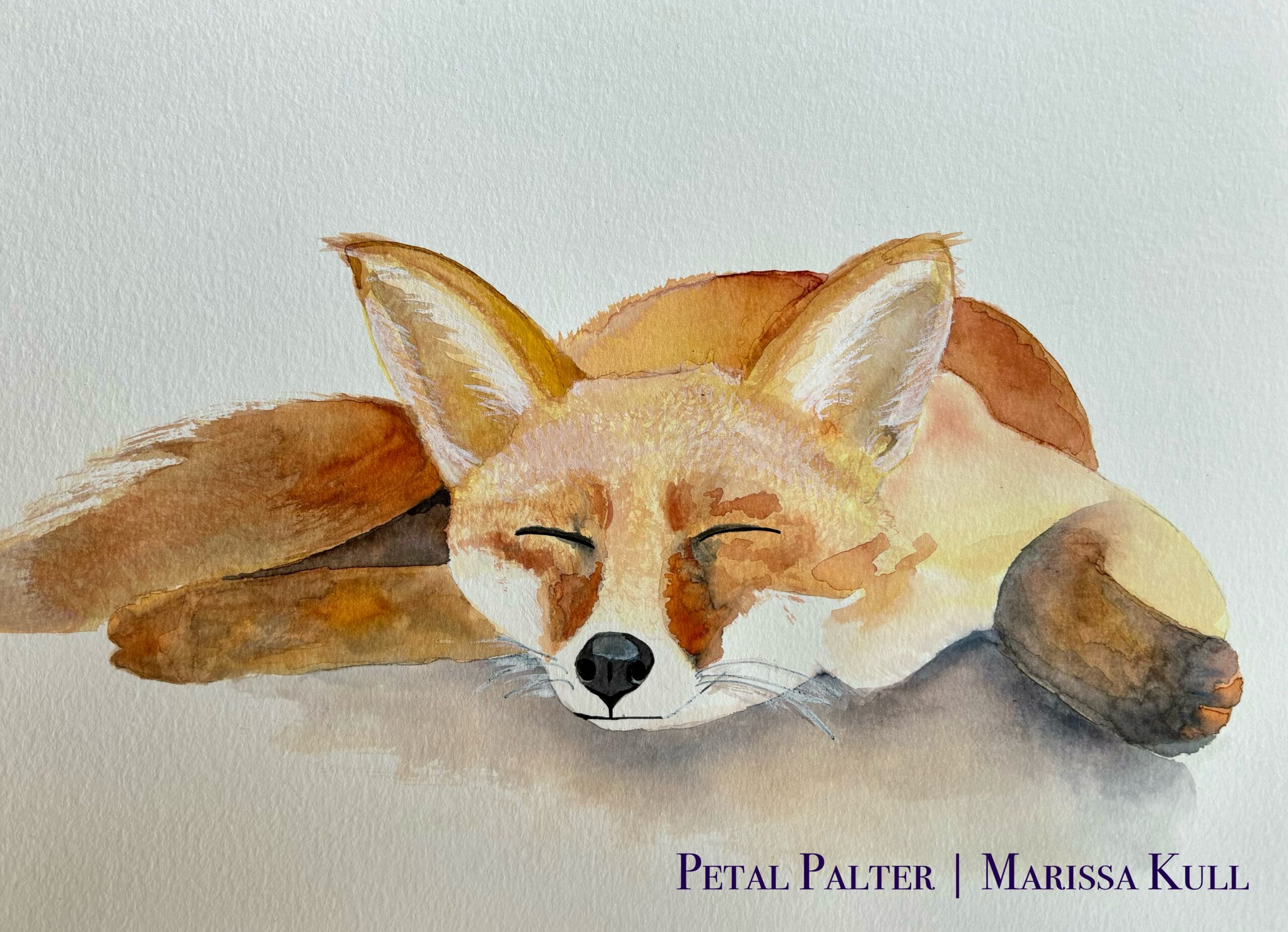 Sleeping fox.