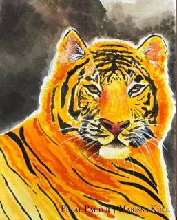 Tiger portrait