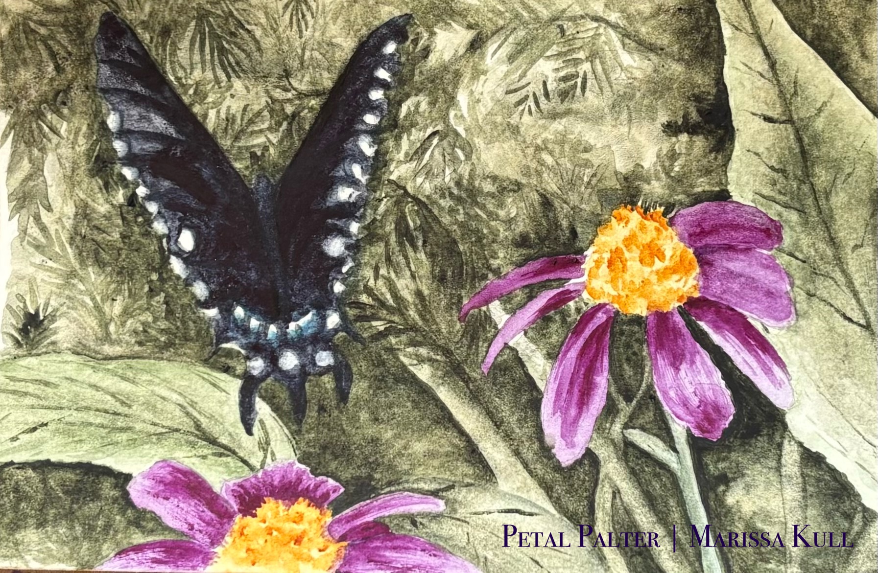 Black butterfly near purple coneflowers over a moody green background.