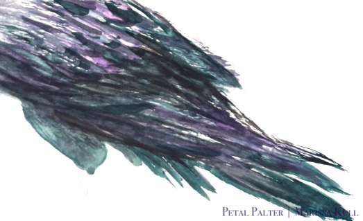 The lower portion of a black bird with iridescent feathers.