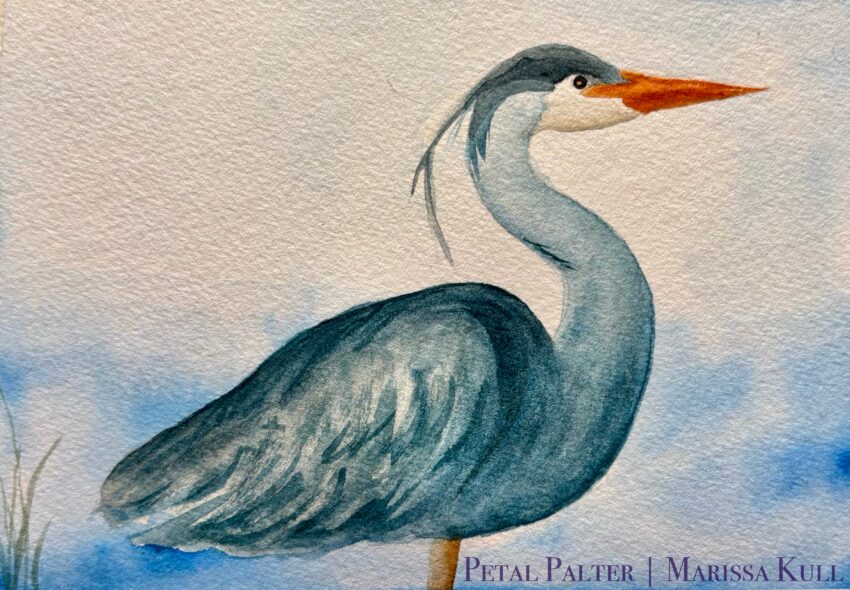 A blue heron over a blue background. There is a hint of grass in the corner.