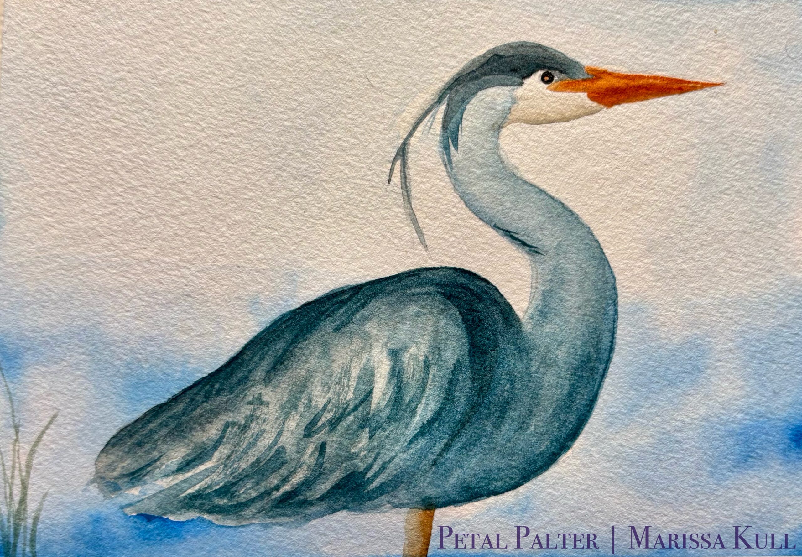 A blue heron over a blue background. There is a hint of grass in the corner.